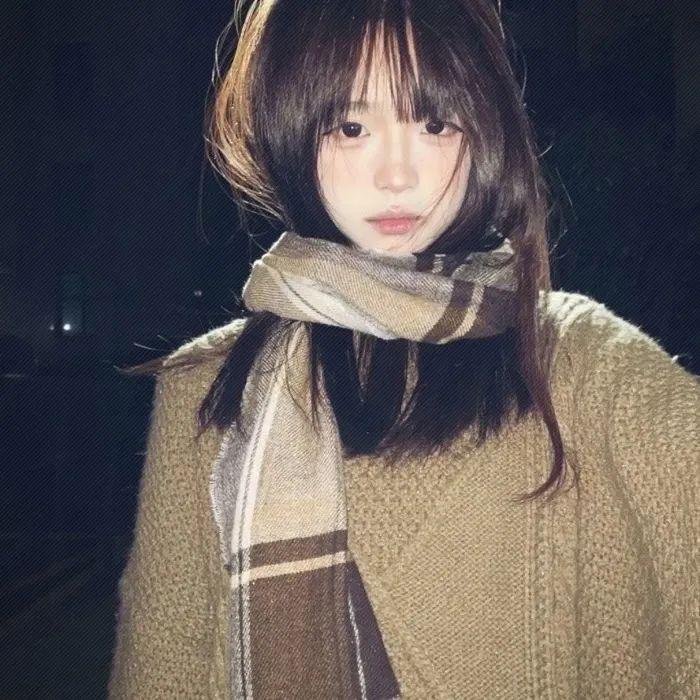 风月君子封面